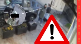 Skandal to mało powiedziane? Zostawiła zwierzę na Bielanach