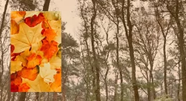 Rano, po południu i wieczorem: w tych miejscach na B…