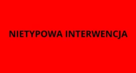 SZCZUŁA PSEM klientów galerii na Bielanach