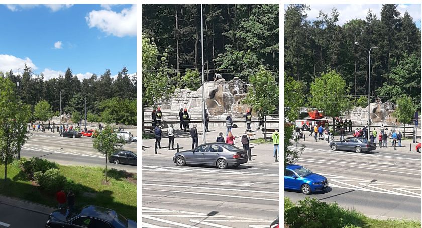 PILNE: Samobójca w praskim ZOO [relacja na żywo]