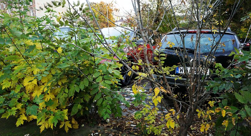 Ciekawy parking przy Radzymińskiej