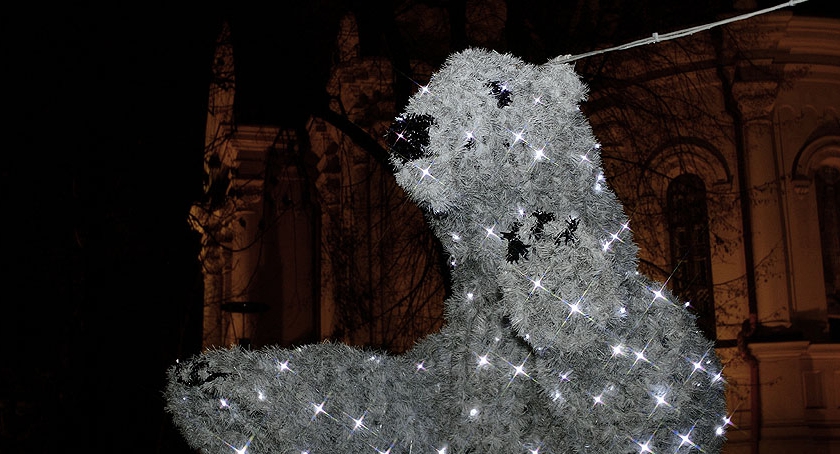 Praga Północ – Świąteczna Iluminacja