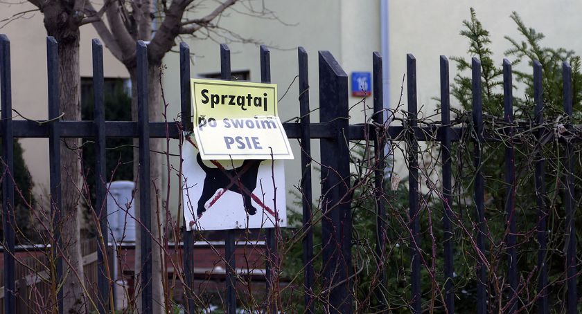 Sprzątaj po swoim psie