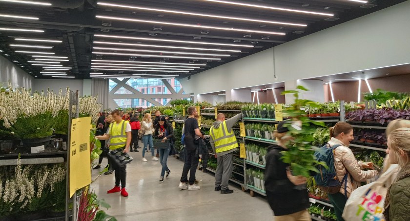 Centrum Koneser rozkwita! Festiwal Roślin 2022