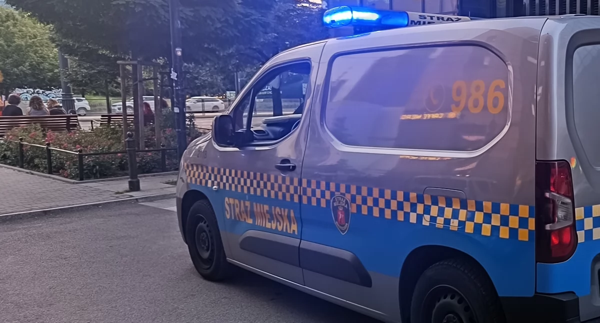 Roztrzęsiona kobieta opowiedziała wszystko ze szczegółami. Sprawca uciekał na widok mundurowych