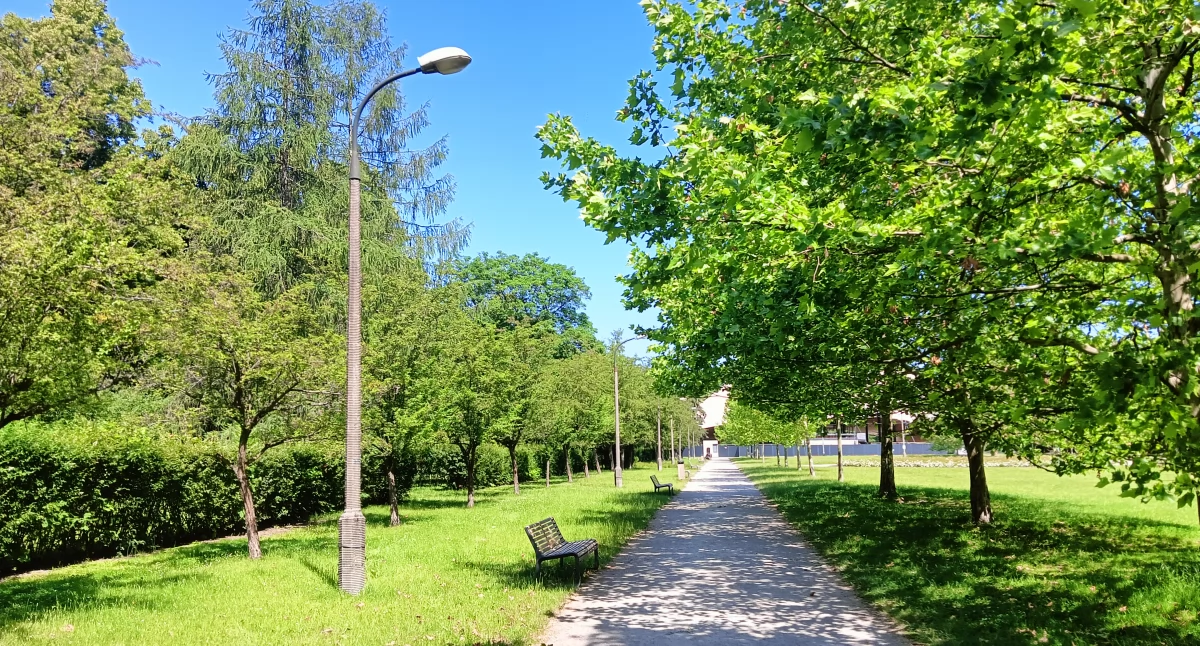 Co czeka nas w weekend na Pradze-Północ? Wachlarz bezpłatnych atrakcji!