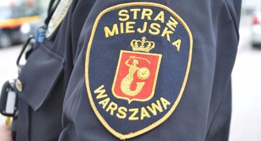 Pistolet i psychotropy znalezione w wyniku zwykłej kontroli