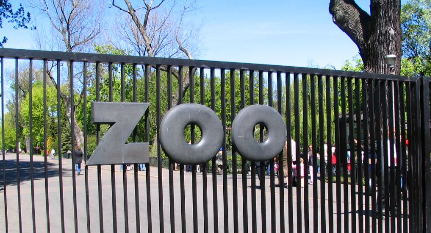 Darmowy wstęp do ZOO
