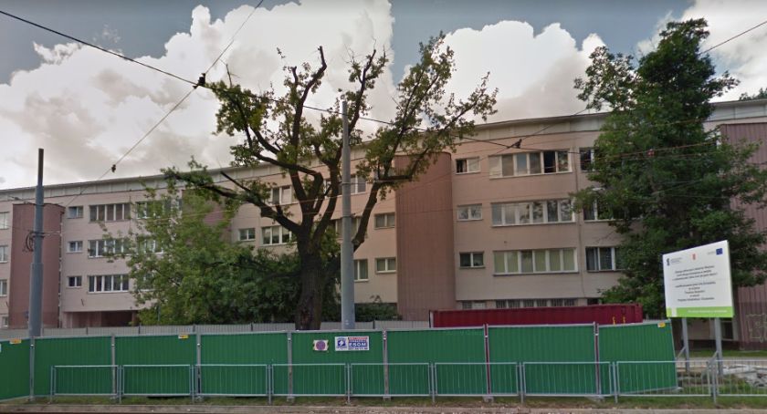 Praski Dąb miał stanowić pomnik przyrody, teraz pójdzie pod topór