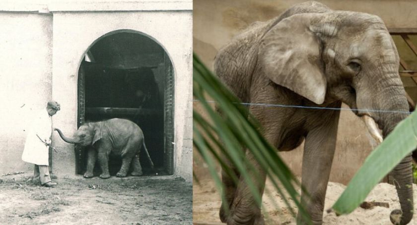 Urodziny Warszawskiego Zoo!