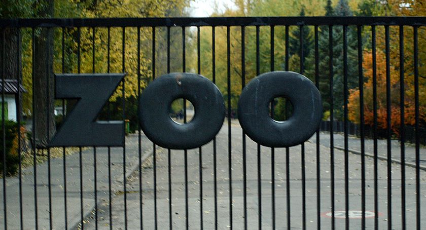 Miejski Ogród Zoologiczny podsumowuje dobry rok