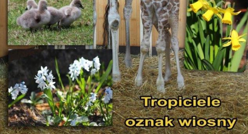 ZOO - Konkurs Fotograficzny. Wygraj cenne nagrody!  