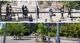 Incydent na wybiegu niedźwiedzi brunatnych w Parku Praskim