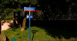 Aleja Tysiąclecia i jej tajemnice