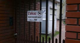 Praga bez czworonogów?