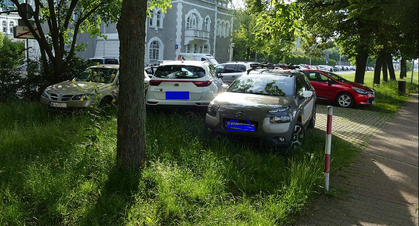 Święte krowy na Bulwarach