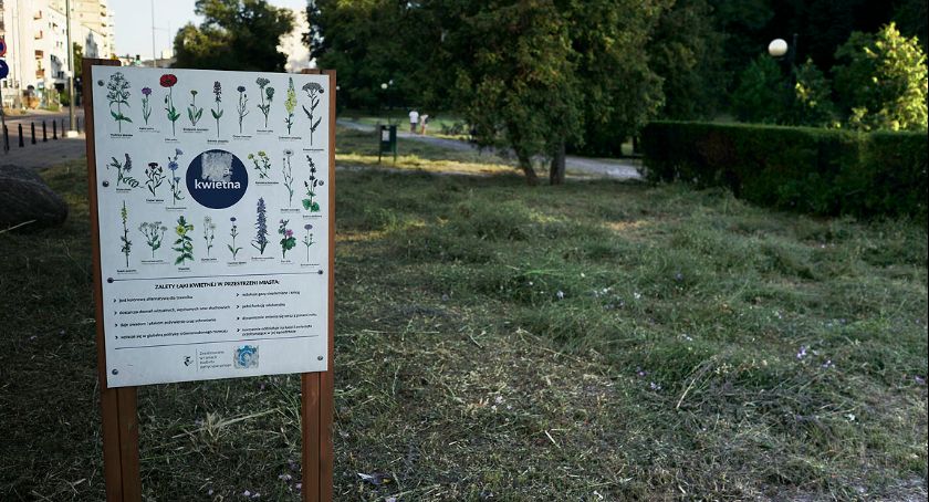 Koszenie trawy na Powiślu