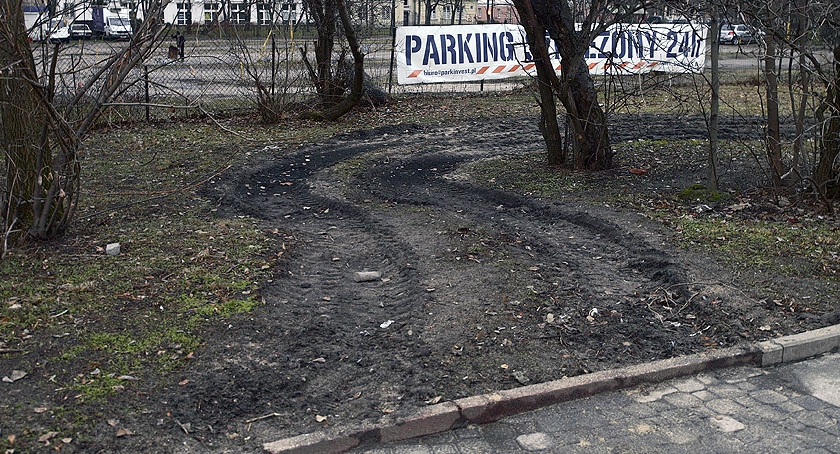 Policja, mowa i trawa