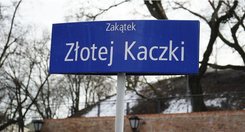 Złota Kaczka ?