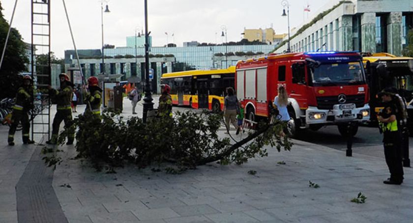 Długi konar na ul. Długiej [ZDJĘCIA]