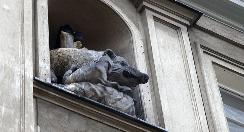 Dzik