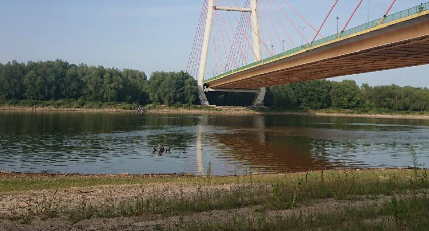 NiedalEKO, czyli Dzień Wody w Warszawie