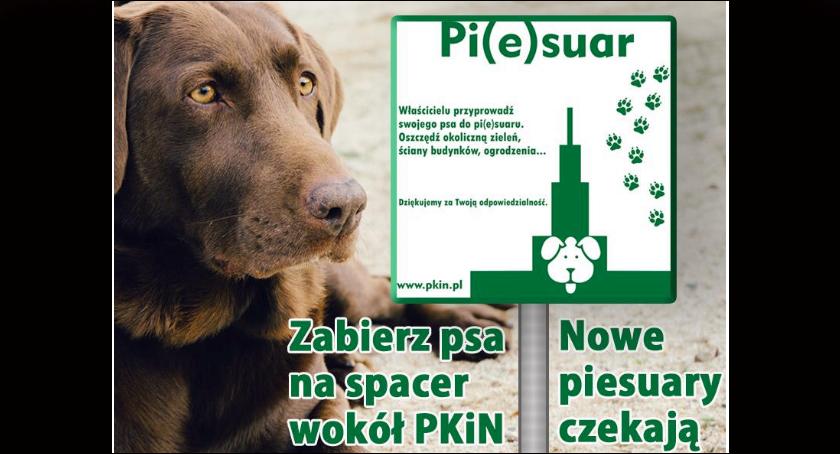 Centrum Warszawy wzbogaci się o kolejne toalety dla psów