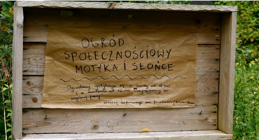 Motyka i Słońce