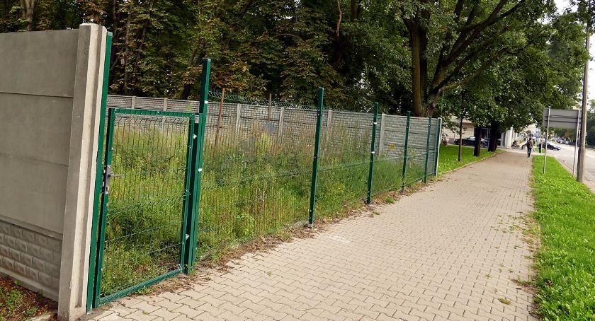 Nowe życie działki przy Browarnej