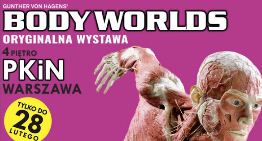Ostatnia szansa pójścia na wystawę Body Worlds w Pałacu Kultury 
