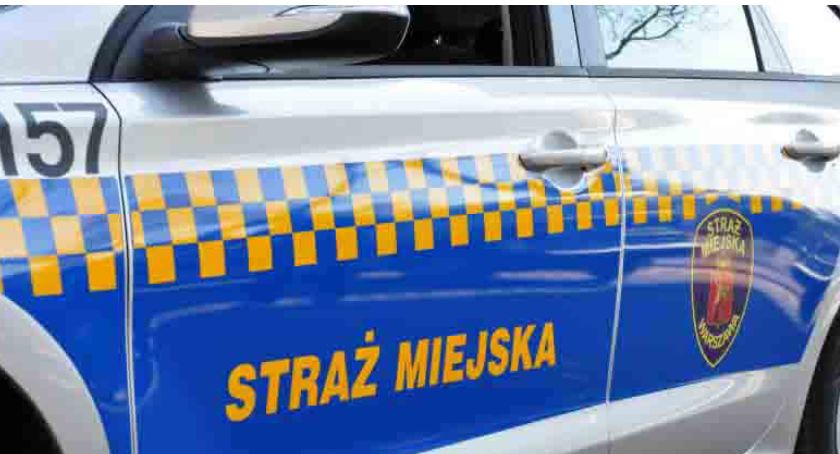 Kobieta w stanie nietrzeźwości zdemolowała auto