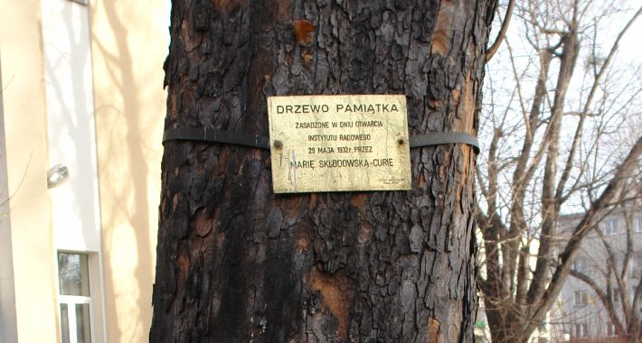 „Przepędzić raka” po Polu Mokotowskim
