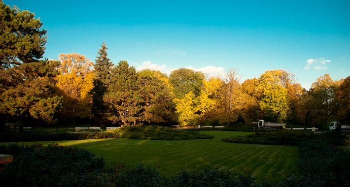 Park Ujazdowski jesienną porą [FOTO]