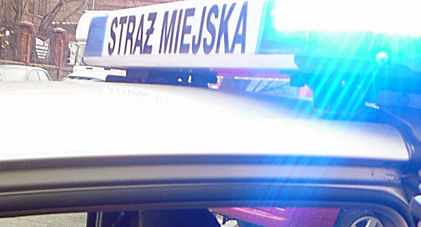 Bez uprawnień prowadził samochód po Krakowskim Przedmieściu 