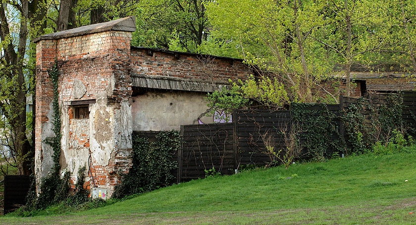 Złoto Śródmieścia