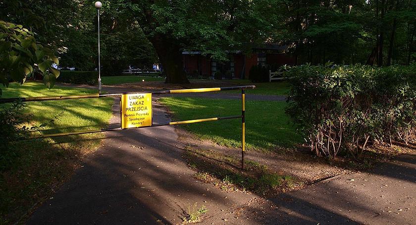 Śródmieście – sposób na burze i wichury