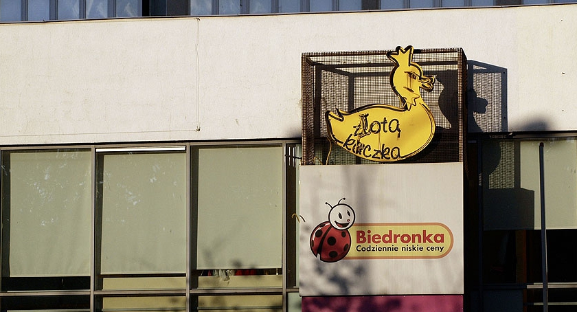 Kaczka i Biedronka