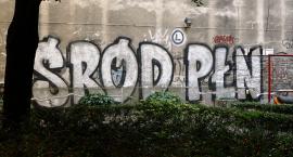 Śródmiejskie podwórka bez gospodarza