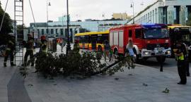 Długi konar na ul. Długiej [ZDJĘCIA]