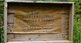 Motyka i Słońce