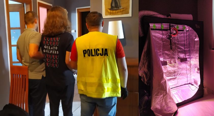 W złości powiedział policji, że jego znajomy ma w domu plantacje marihuany