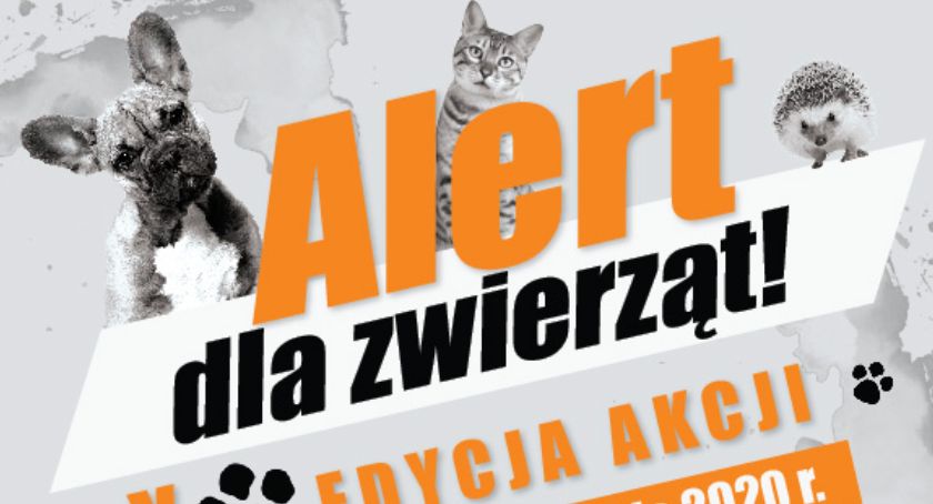 X Alert dla Zwierząt!