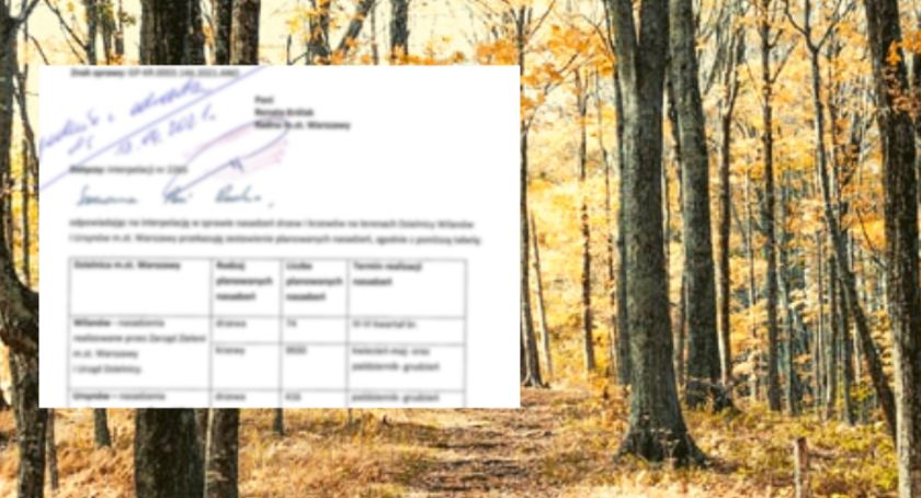 Będą nowe nasadzenia na Ursynowie. Kiedy? 
