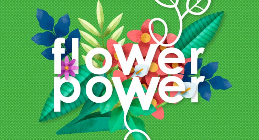 Flower Power 