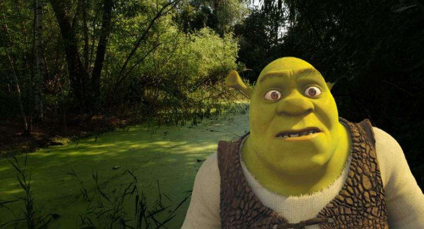 Staw przy ul. Gawota 6. Tutaj mieszka Shrek? [ZDJĘCIA]