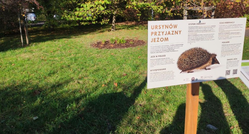 Miejsca dla jeży powstały w trzech ursynowskich parkach