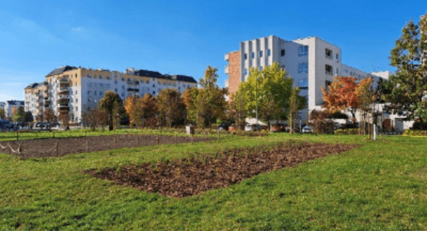Zielone skwery na Ursynowie: jak prace wykonano w 2022?