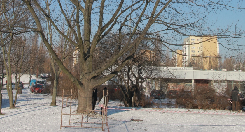 Wiolinowy Pasaż na Jarach jeszcze długo nie zagra