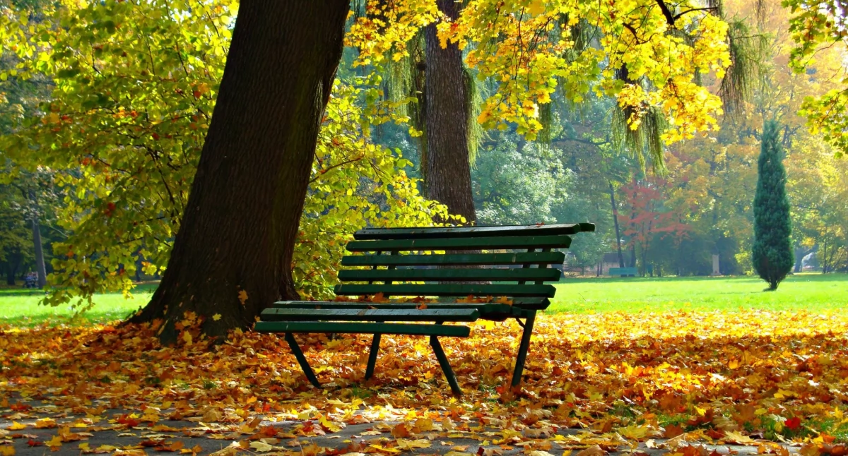 Park linearny Suwak już gotowy! Przeczytaj co nowego!