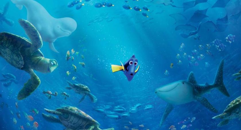Bezpłatne bilety do Multikina. Seans filmu „Gdzie jest Dory”